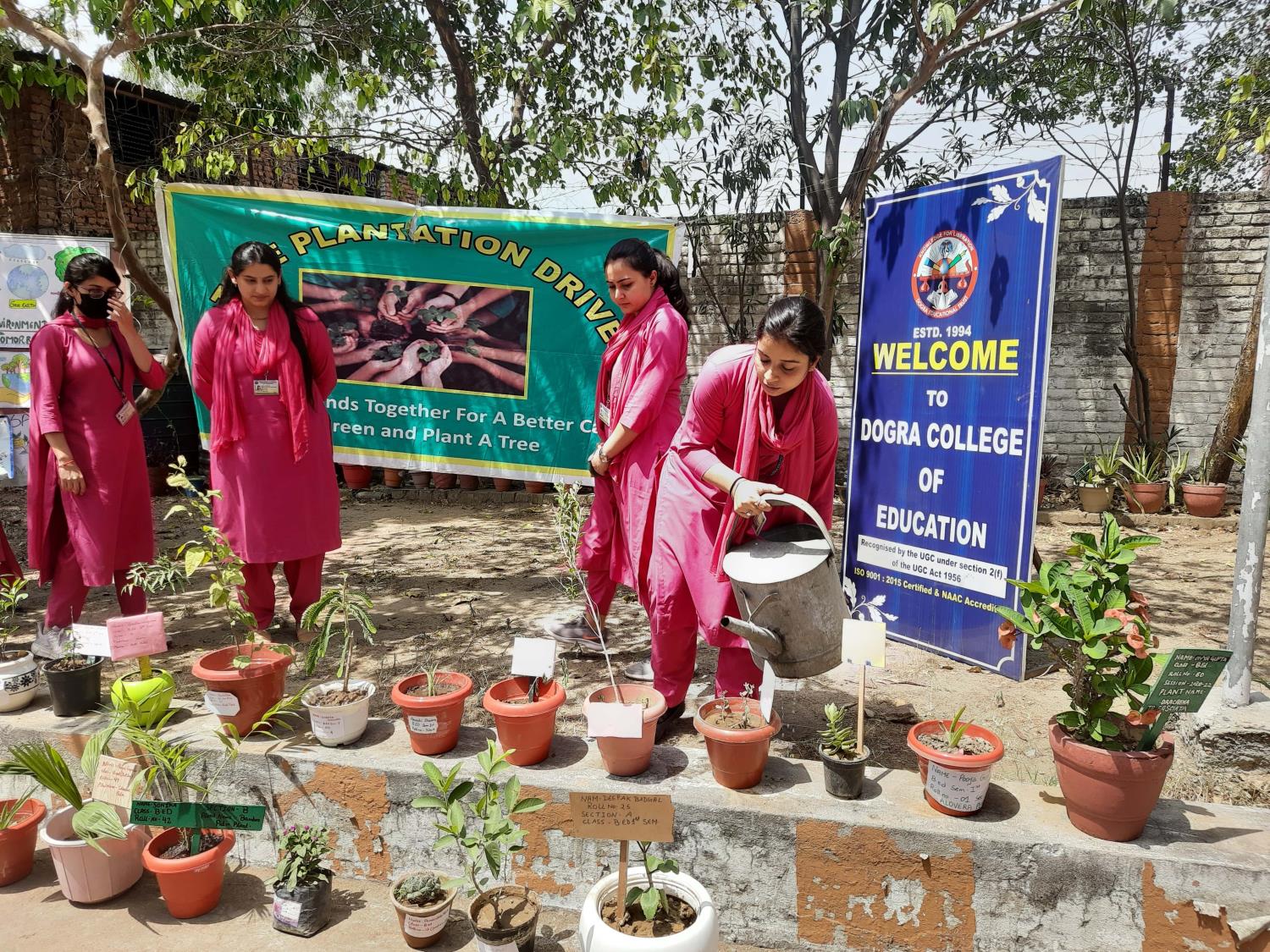 Plantation Drive organised by DCE